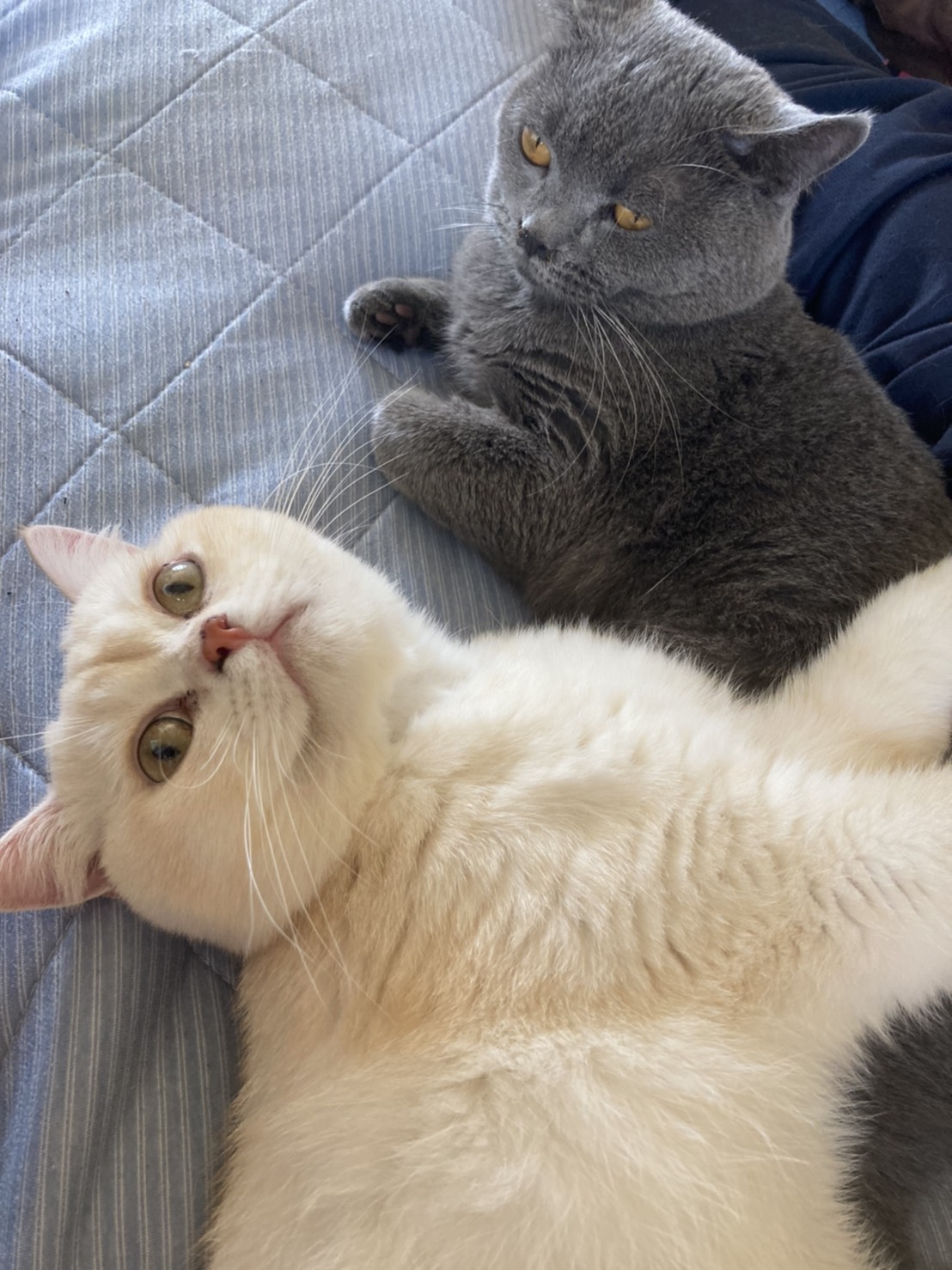 初めて方へ画像